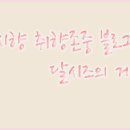 조선 건국~세도정치 전
