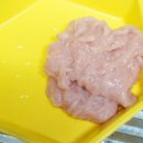 홍찌 이미지