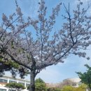 인트로커피로스터즈 이미지