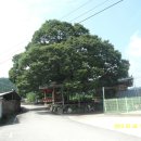 안평마을회관 이미지