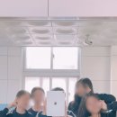 행복한 꼬마 거북이 네이버블로그