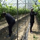 풀꽃농장 이미지