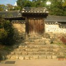 느티나무 일원 이미지