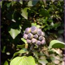 영암군청 이미지