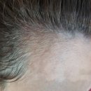 원도안로-19 이미지