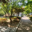 하계6단지경로당 | [하계역] &#39;하계 장미6단지아파트&#39; 임장 후기