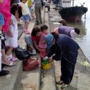 엄마수산 이미지