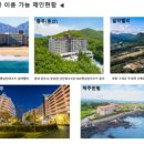 돈사미 이미지