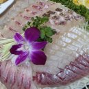 박영철 | 대구 달서구 유천동 박영철사시미, 숙성회 맛집 후기