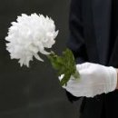 최강EM학원 이미지