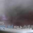 철규분식