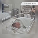 법원약국 | [출산기록] 리베르 여성병원 자연분만 4인실 후기 비용 공유
