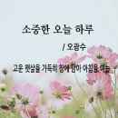 오늘하루 이미지