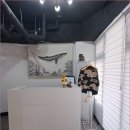 코어비츠 이미지