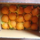 한희철 농장 이미지