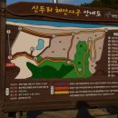 해안사구 이미지