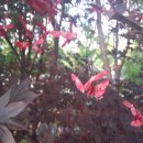 미래장례의전 이미지