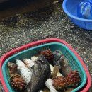 흥복식당 이미지