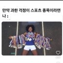 월간회고