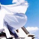 하얀세탁 이미지