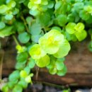 광주동림병원 이미지