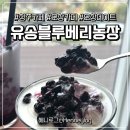 유송농장 이미지