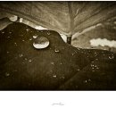 Untitled-0 이미지