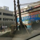 진전기조명 이미지