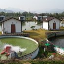 암반수낚시터 이미지