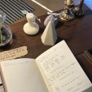 모디스트 임팩트