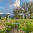 혜림목장 이미지