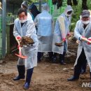 대야리마을회관 이미지