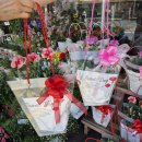 달을품은꽃 | 대구 칠성동 꽃시장 어버이날 카네이션 화분 vs 꽃바구니 가격 예약(feat.꽃처럼 꽃집)