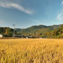 산서터미널