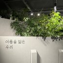 [전시🖌️] 서울 전시 추천! <성률 기획전 : 여름을 닮은 우리> 관람 후기 📍그라운드시소 한남