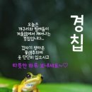 호랑이보부상 이미지