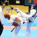 태극체육관 이미지