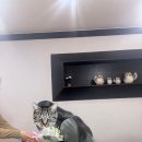 거제일식&거제목장 이미지