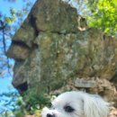 GS25 명지대후문점 이미지