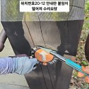 조혜경외2명/20코스/2026.10.04(일) 이미지
