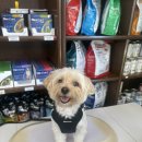 양지가축동물병원 이미지