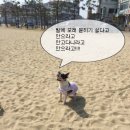 아토와토토