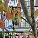 미움 이미지