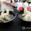 전통삼계탕오리 이미지