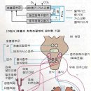 호흡과명상 이미지