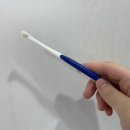 덴탈프렌즈 | [고양이 칫솔 추천 | 내돈내산 후기] 작고 부드러운 삼각형 칫솔로 빠르고 편하게 양치해요