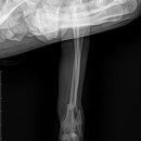 용인죽전 24시 스카이동물메디컬센터 이미지