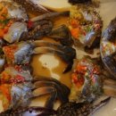 대륙붕횟집 이미지