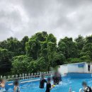 지베르니펜션2 이미지