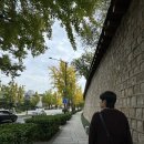 촌카페 | 서순라길 카페 시노라서촌, 아티스트베이커리 후기